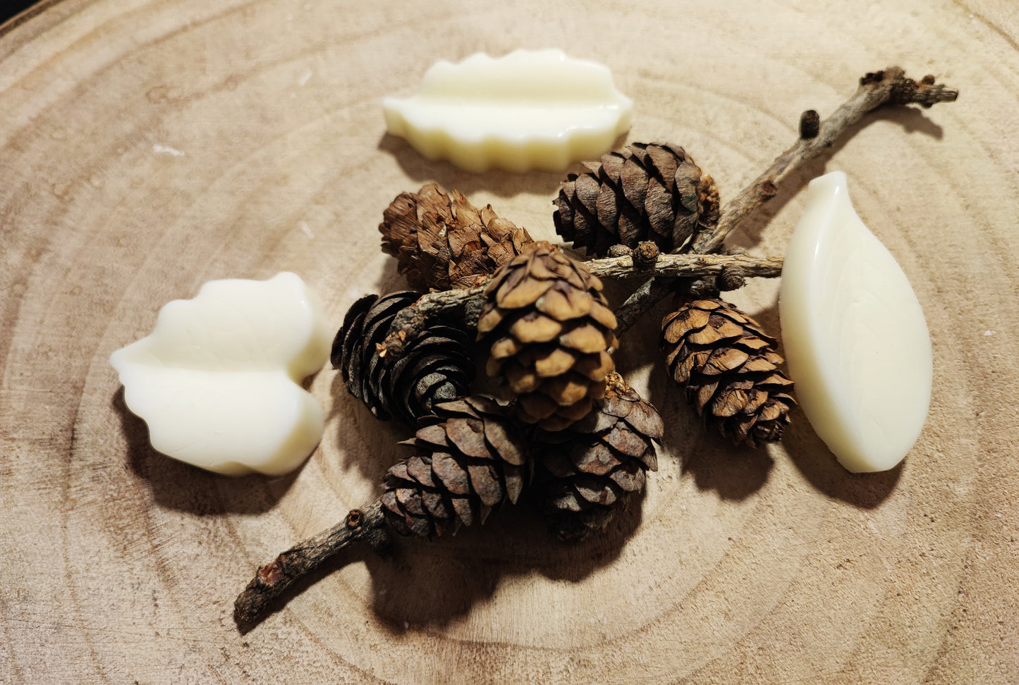 SET 3 FOGLIE BOTANICHE