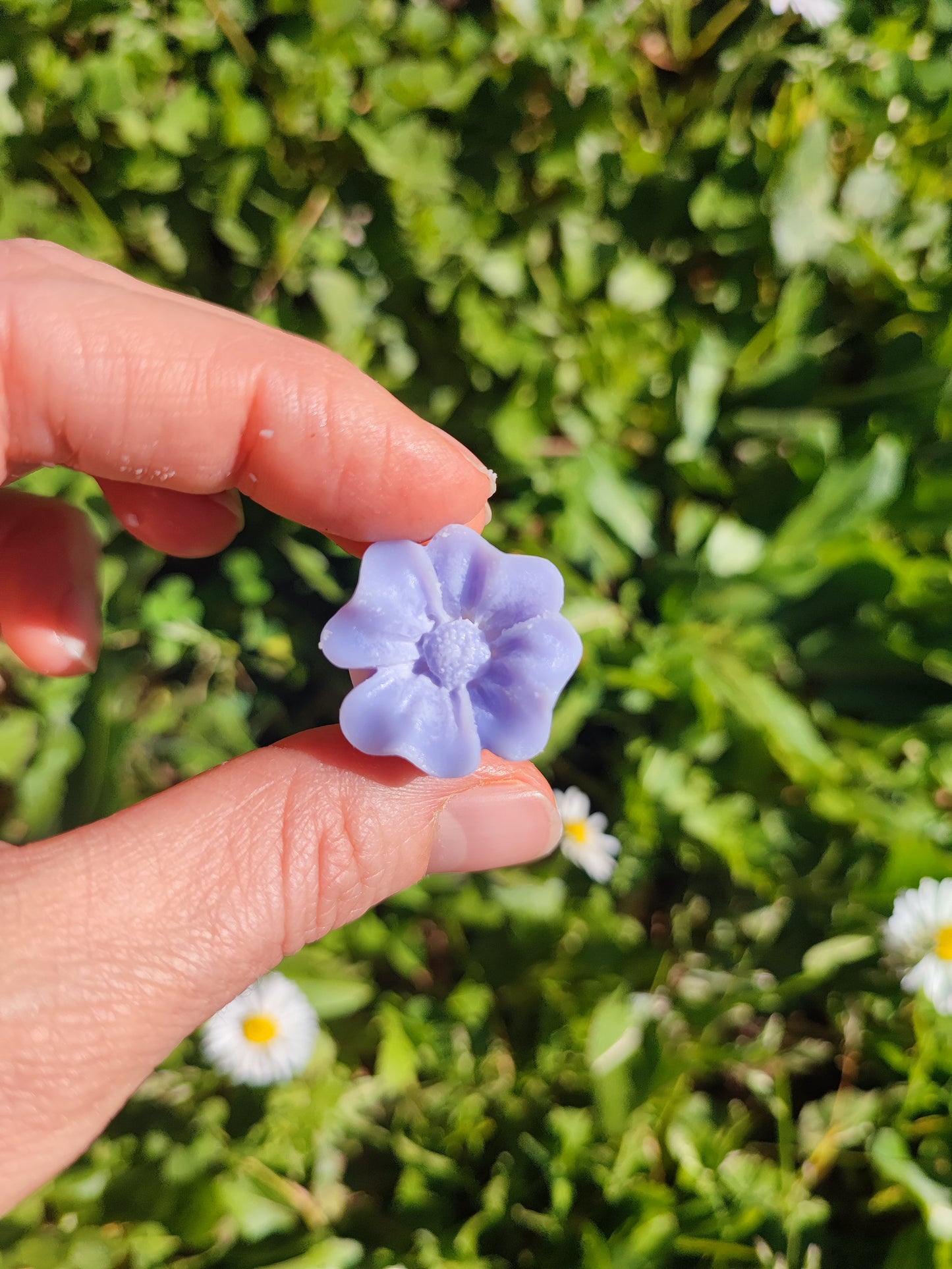 FIORI BOTANICI - Confezione da 4
