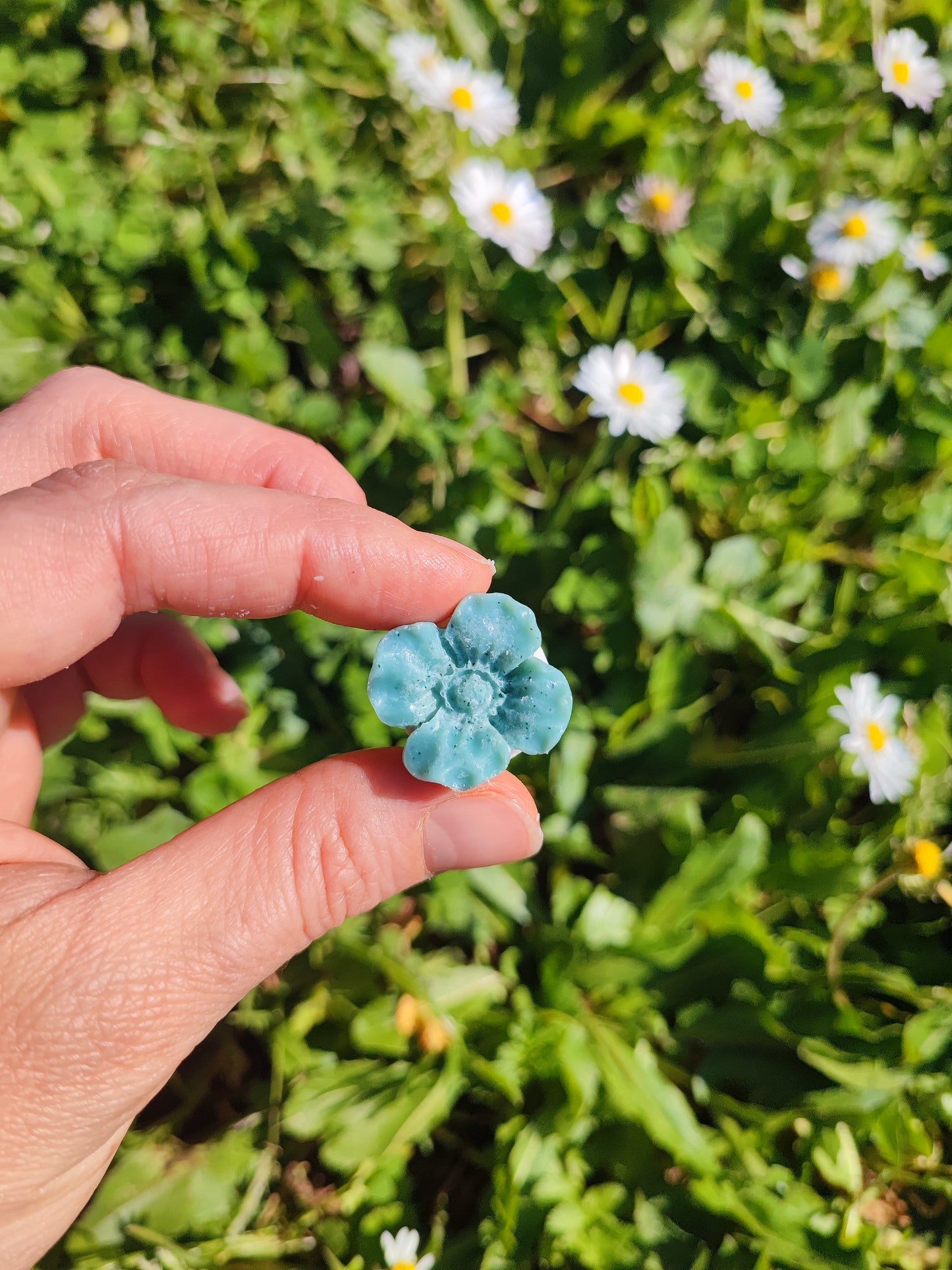 FIORI BOTANICI - Confezione da 4