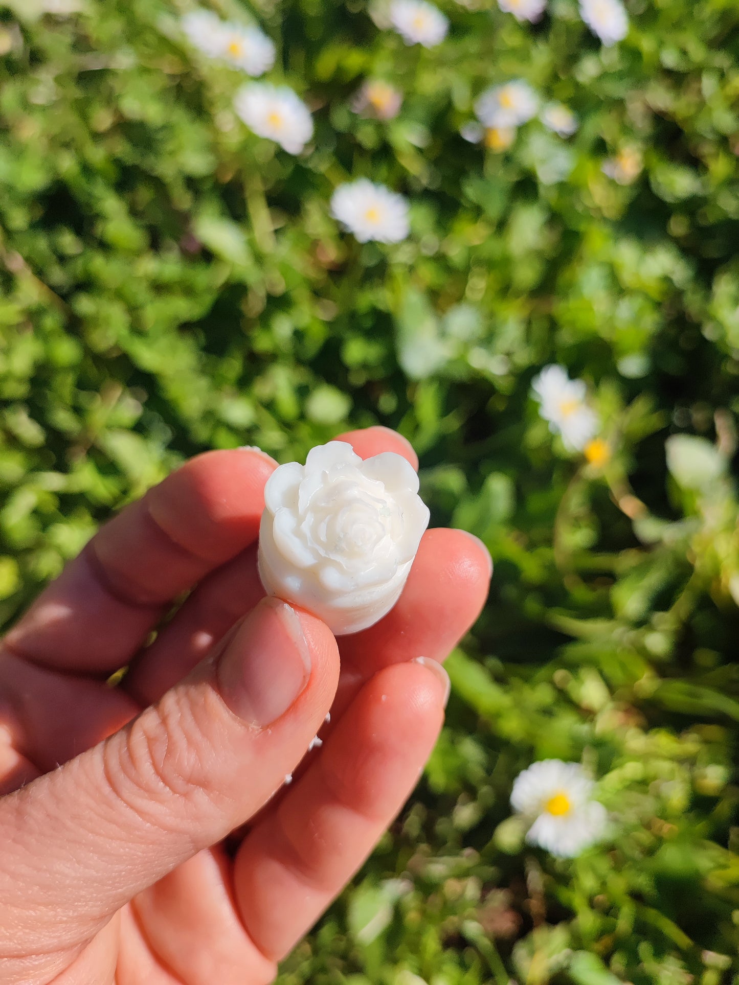 FIORI BOTANICI - Confezione da 4