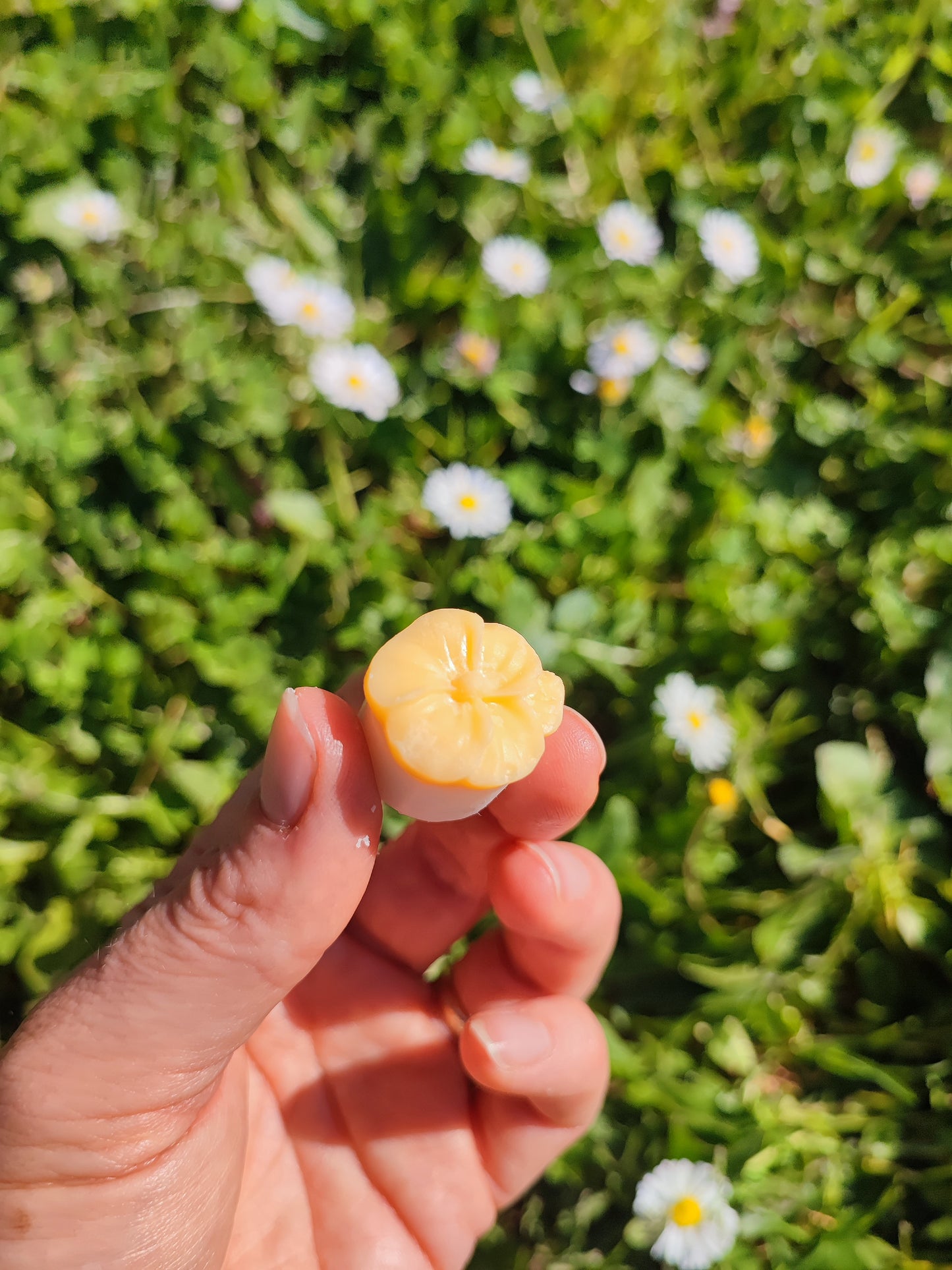 FIORI BOTANICI - Confezione da 4