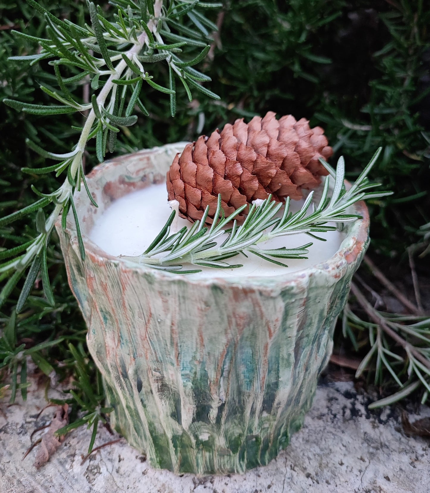 CANDELA COLLEZIONE FUNGO DELUXE