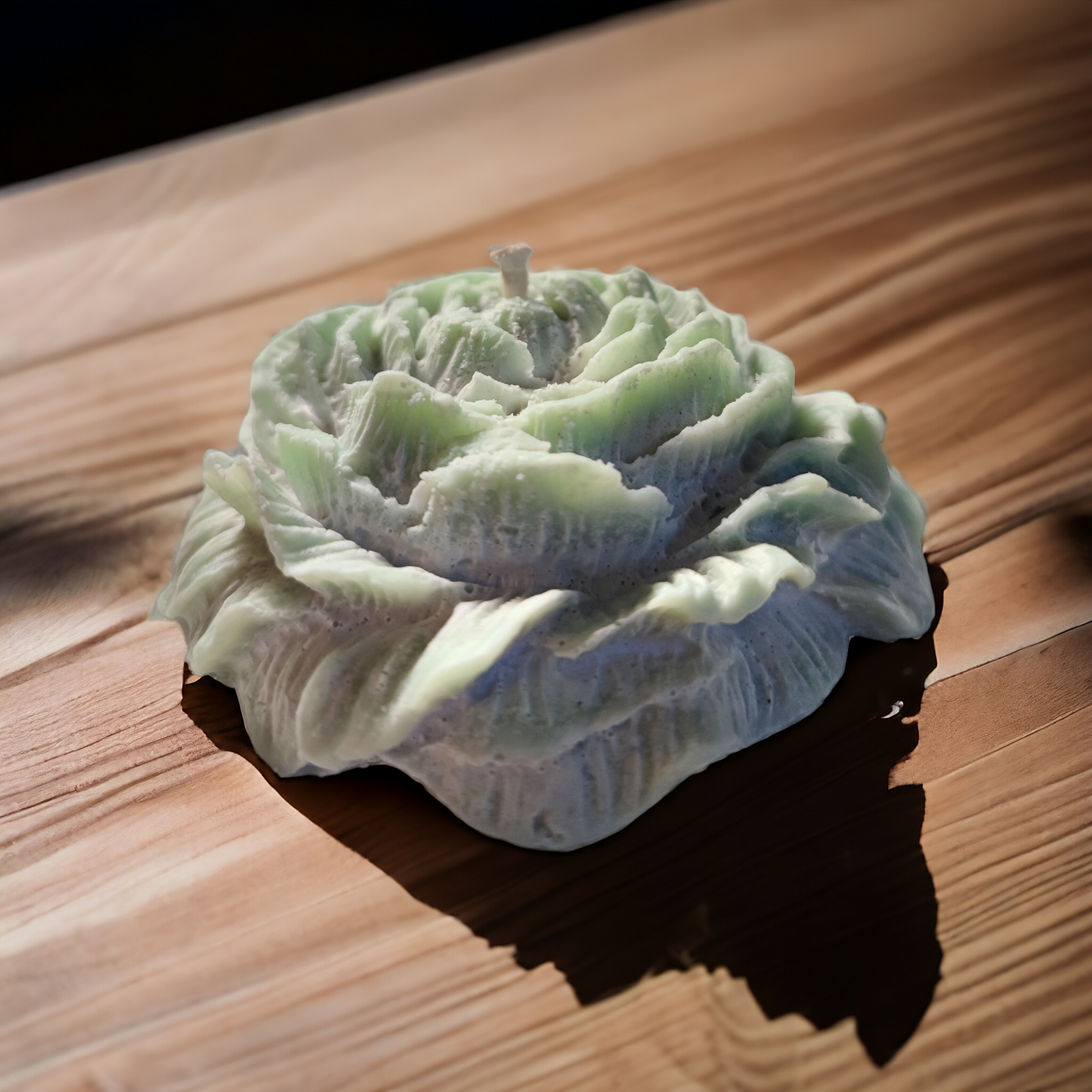 PEONIA BOTANICA